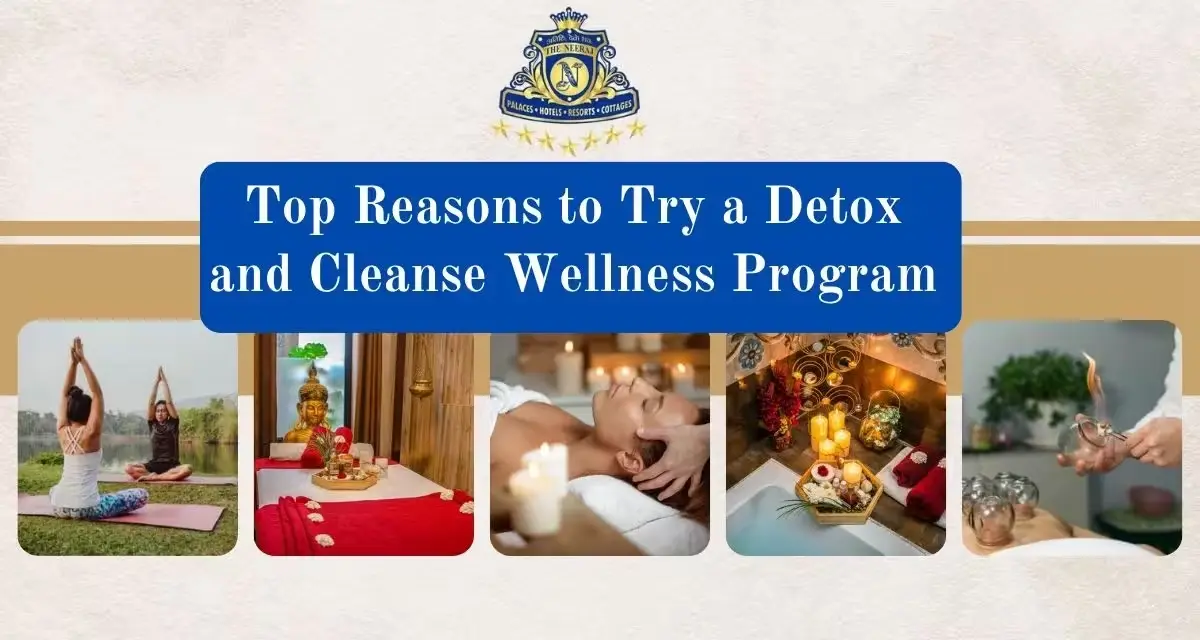Top Reasons to Try a Detox and Cleanse Wellness Program